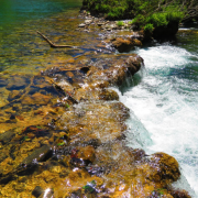 Boca da Onça Ecotour – Trilha Discovery