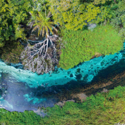 Rio Sucuri – Flutuação