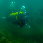 Nascente Azul – Mergulho (Scuba)