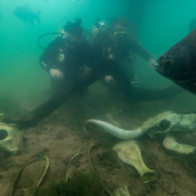 Nascente Azul – Mergulho (Scuba)