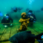 Nascente Azul – Mergulho (Scuba)