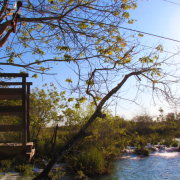 Parque Ecológico Rio Formoso – Trilha do Formoso