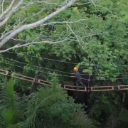 Parque Ecológico Rio Formoso – Adventure Tirolesa