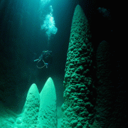 Abismo Anhumas – Mergulho Scuba