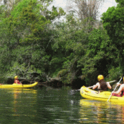 Porto da Ilha Ecopark – Passeio Caiaque Duck