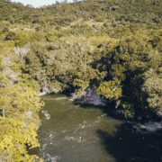 Porto da Ilha Ecopark – Passeio Caiaque Duck