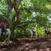 Parque Ecológico Rio Formoso – Cavalgada