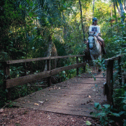 Parque Ecológico Rio Formoso – Cavalgada