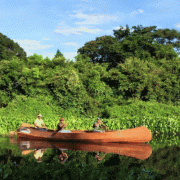 Fazenda San Francisco – Pantanal Safari