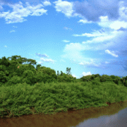 Fazenda San Francisco – Pantanal Safari