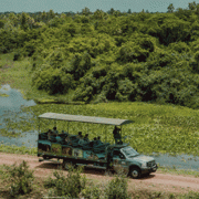 Fazenda San Francisco – Pantanal Safari