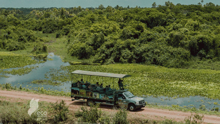 Fazenda San Francisco – Pantanal Safari - Captura de tela 2021-01-19 110657 (2)