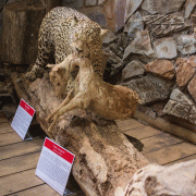 Gruta Catedral – Museu Visitação