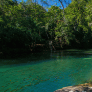 Jardim Eco Park – Balneário Day Use