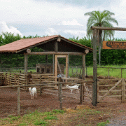 Bio Park – Abrigo de Fauna Silvestre