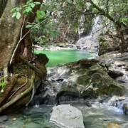 Portal Ecotur Rancho Branco – Parque Nacional da Serra da Bodoquena