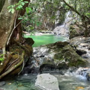 Trilha Rancho Branco – Parque Nacional da Serra da Bodoquena