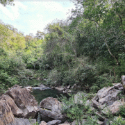 Lagoa Esmeralda – Parque Nacional da Serra da Bodoquena – Eco Serrana Park