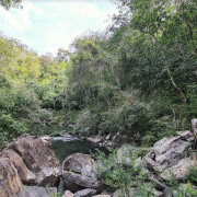 Trilha do Poção Exclusivo – Parque Nacional da Serra da Bodoquena – Eco Serrana Park