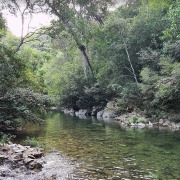 Trilha do Poção Exclusivo – Parque Nacional da Serra da Bodoquena – Eco Serrana Park