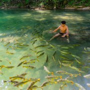 Rio do Peixe – Trilhas e Cachoeiras