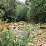 Trilha do Poção Exclusivo – Parque Nacional da Serra da Bodoquena – Eco Serrana Park