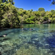 Rio da Prata – Flutuação