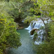 Estância Mimosa